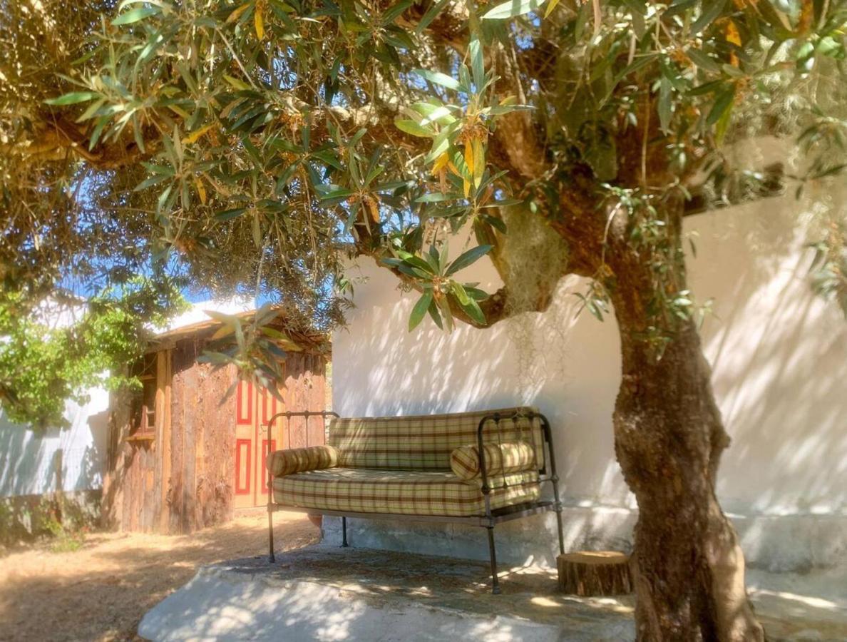 Casa Amador Charming 2 Bedrooms House In Alcacer Alcacer do Sal Exterior photo